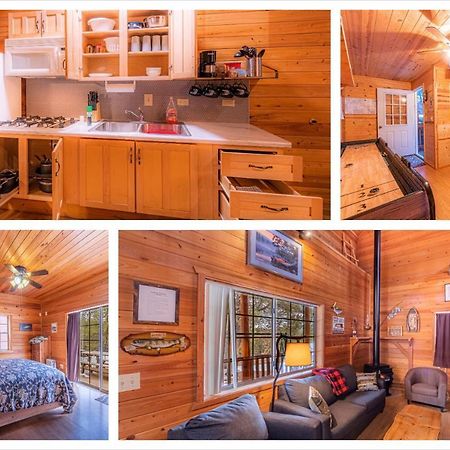 Cabin #4 The Wolves Den - Pet Friendly- Sleeps 6 - Playground & Game Room ペイソン エクステリア 写真