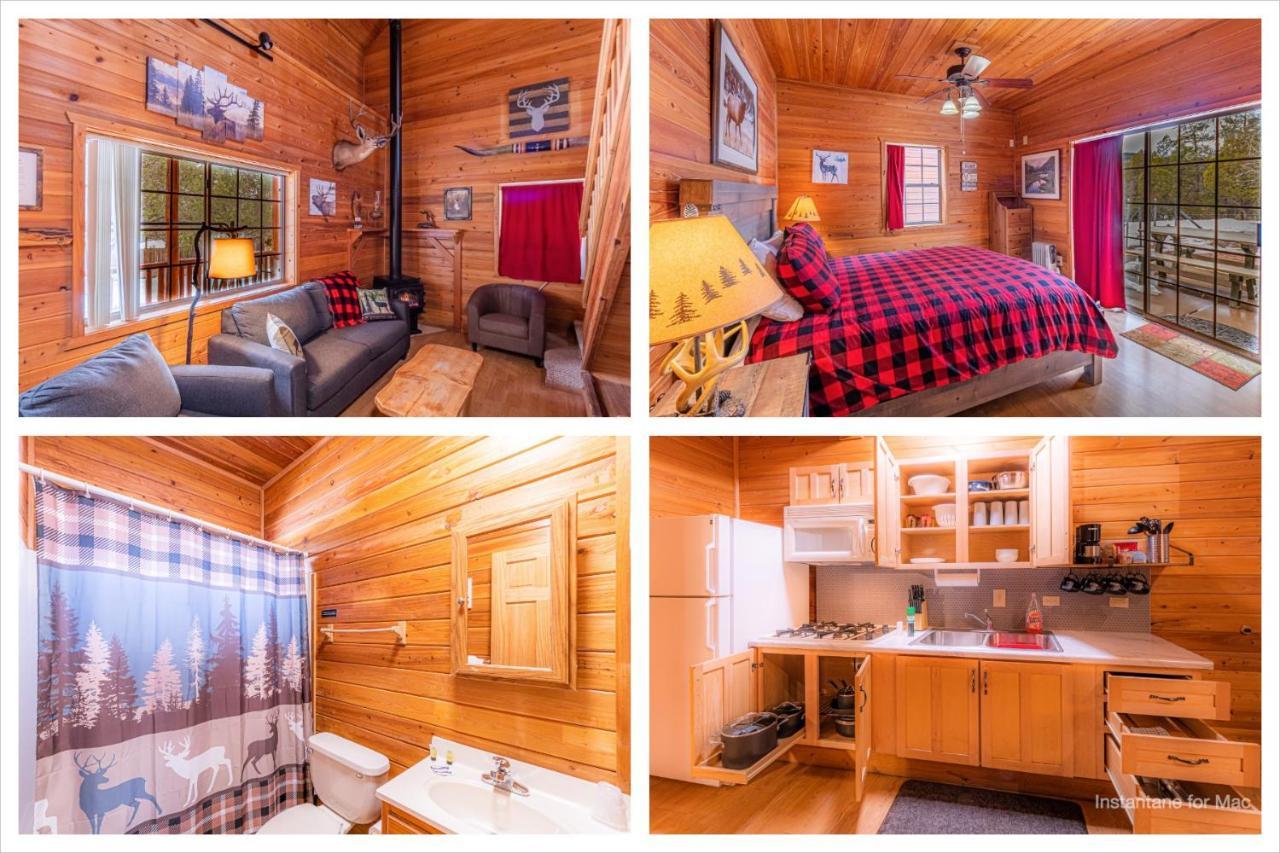Cabin #4 The Wolves Den - Pet Friendly- Sleeps 6 - Playground & Game Room ペイソン エクステリア 写真